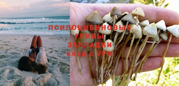 ALPHA PVP Армянск